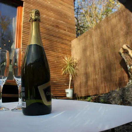 Prázdninový dům Maison Neuve En Bois Pres De Pairy Daisa *