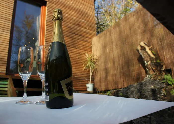 Prázdninový dům Maison Neuve En Bois Pres De Pairy Daisa *